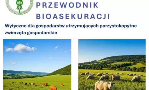 Zdjęcie artykułu z dnia 22-04-2025