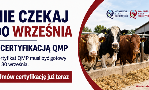 Certyfikat QMP