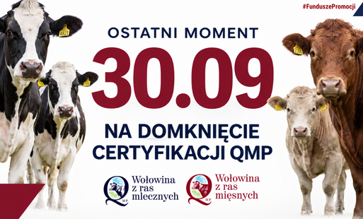 Certyfikat QMP