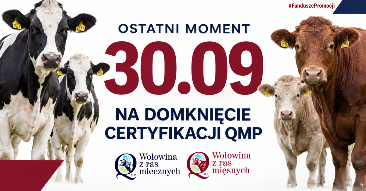 Zdjęcie artykułu z dnia 25-09-2026